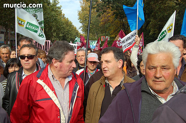 Manifestacin de agricultores en Madrid - 129