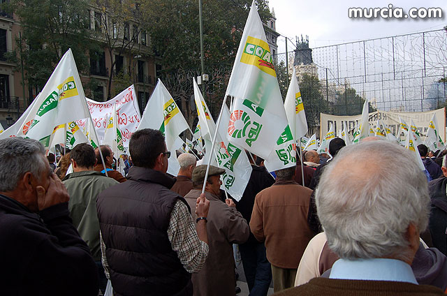 Manifestacin de agricultores en Madrid - 4