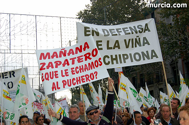 Manifestacin de agricultores en Madrid - 6