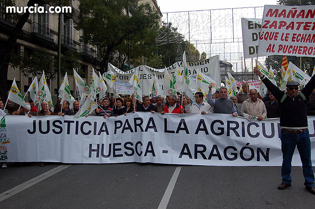 Manifestacin de agricultores en Madrid - 7