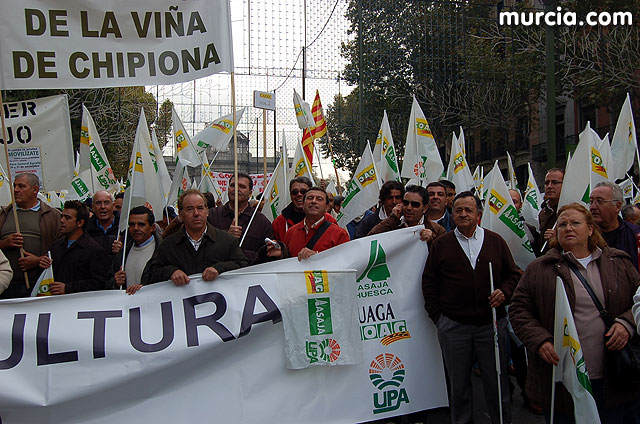 Manifestacin de agricultores en Madrid - 9