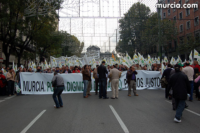 Manifestacin de agricultores en Madrid - 11