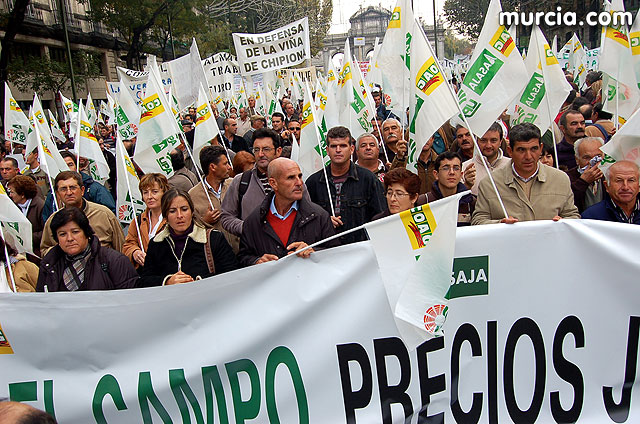 Manifestacin de agricultores en Madrid - 12