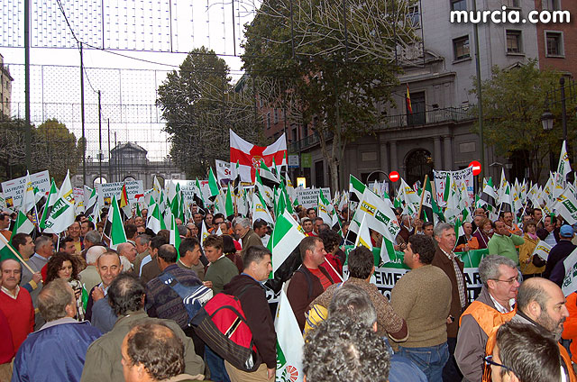 Manifestacin de agricultores en Madrid - 15