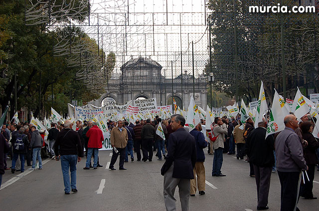 Manifestacin de agricultores en Madrid - 18