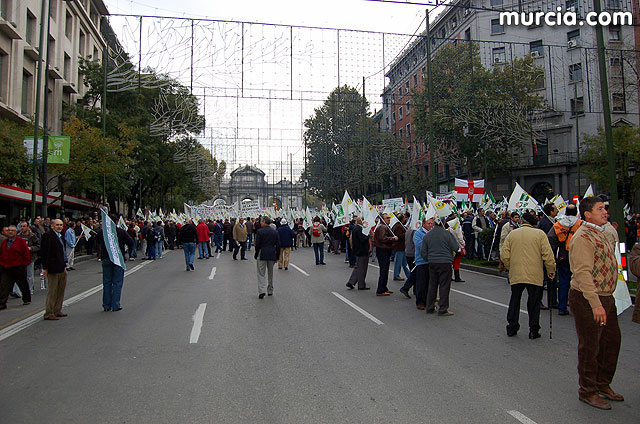 Manifestacin de agricultores en Madrid - 19