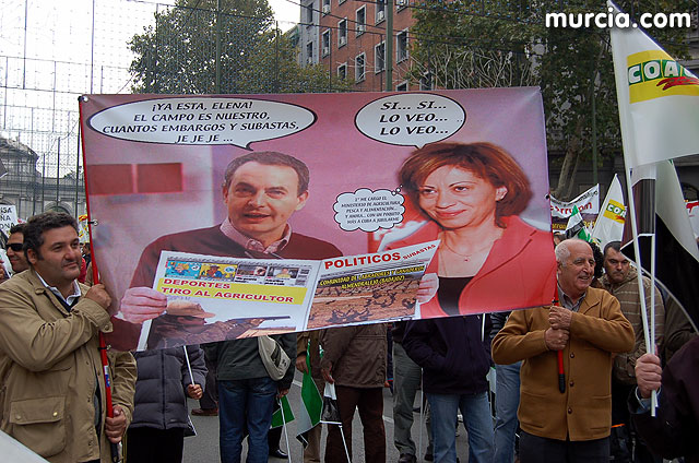 Manifestacin de agricultores en Madrid - 20