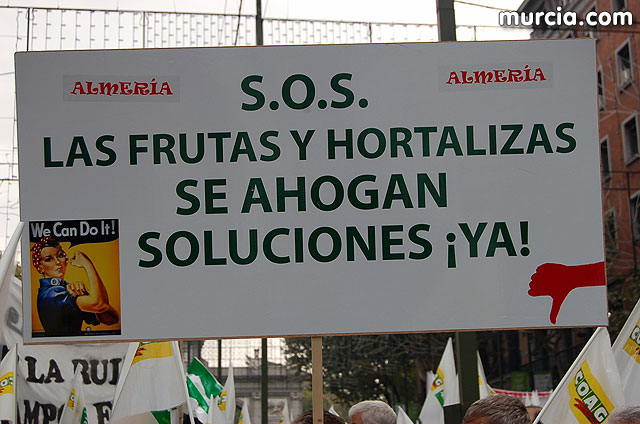 Manifestacin de agricultores en Madrid - 21