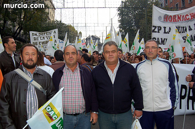 Manifestacin de agricultores en Madrid - 22