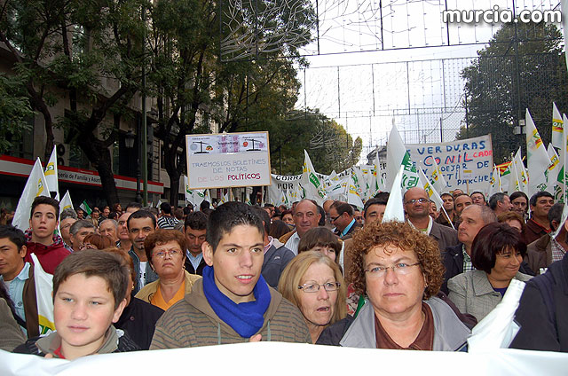 Manifestacin de agricultores en Madrid - 25