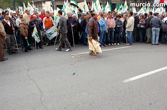 Manifestacin de agricultores en Madrid - 26
