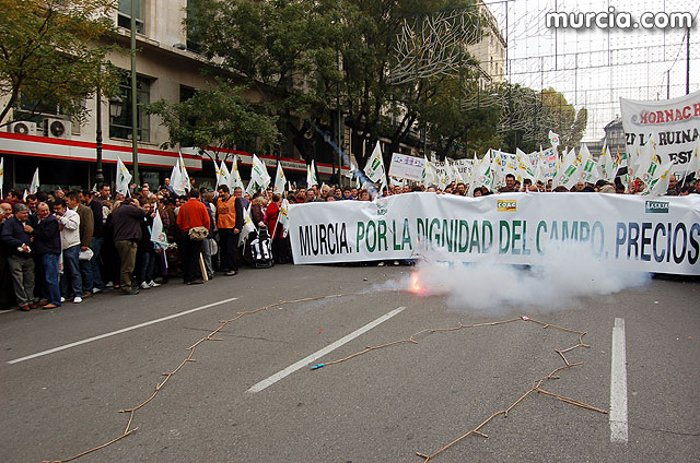 Manifestacin de agricultores en Madrid - 28