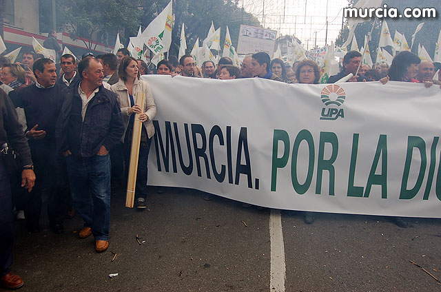 Manifestacin de agricultores en Madrid - 33