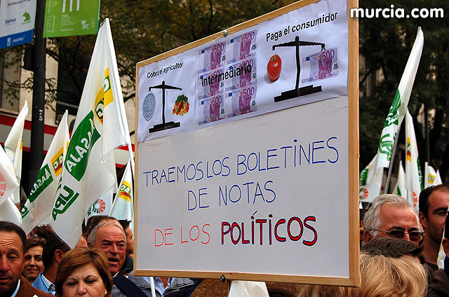 Manifestacin de agricultores en Madrid - 39