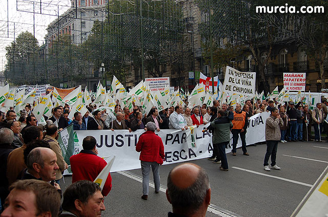 Manifestacin de agricultores en Madrid - 42