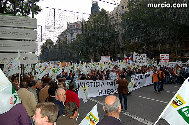Manifestacin de agricultores en Madrid - 45