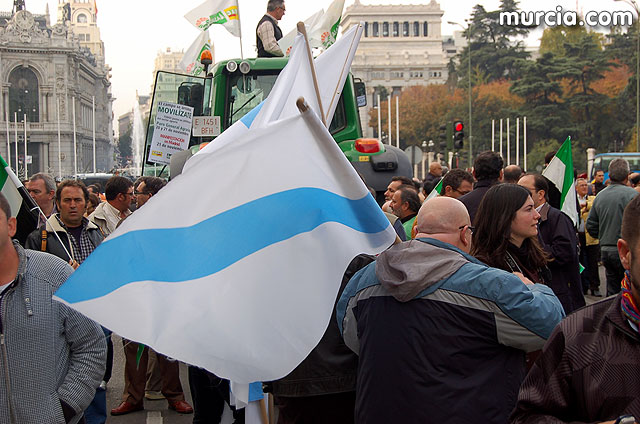 Manifestacin de agricultores en Madrid - 55