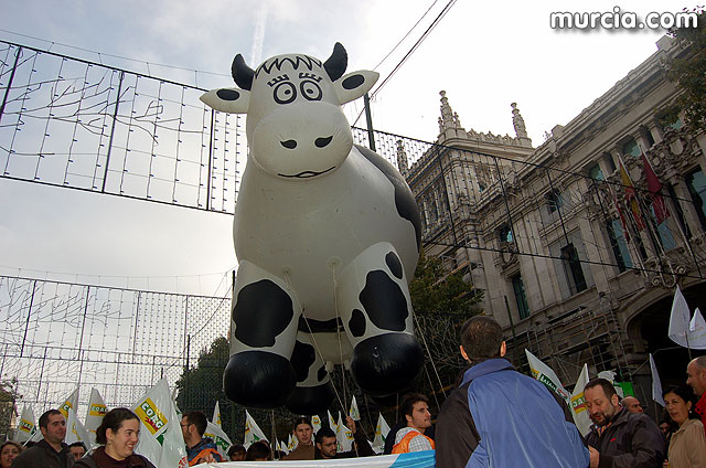 Manifestacin de agricultores en Madrid - 59