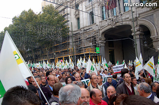 Manifestacin de agricultores en Madrid - 62