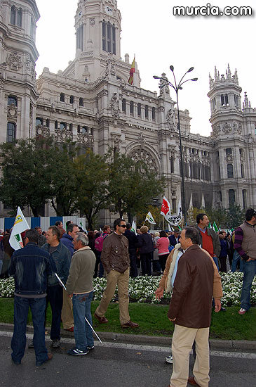 Manifestacin de agricultores en Madrid - 67