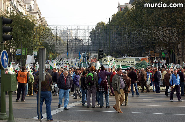 Manifestacin de agricultores en Madrid - 71