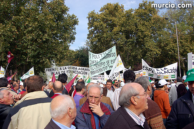 Manifestacin de agricultores en Madrid - 116