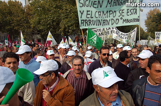 Manifestacin de agricultores en Madrid - 120