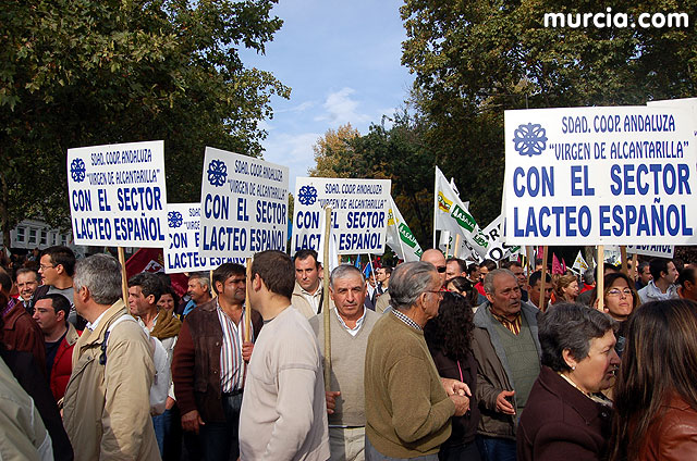 Manifestacin de agricultores en Madrid - 122