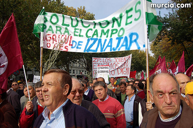 Manifestacin de agricultores en Madrid - 131