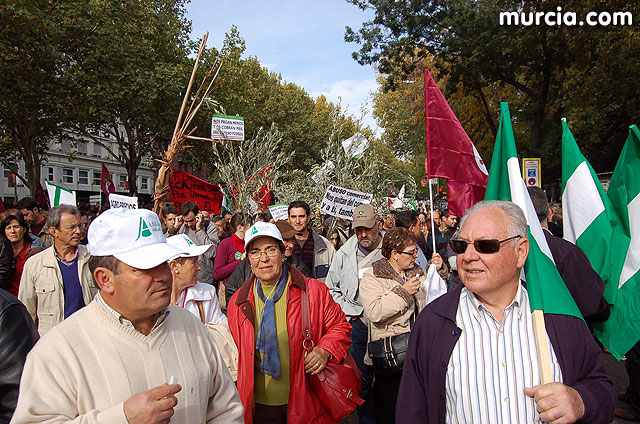 Manifestacin de agricultores en Madrid - 134