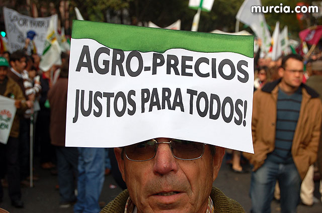 Manifestacin de agricultores en Madrid - 138