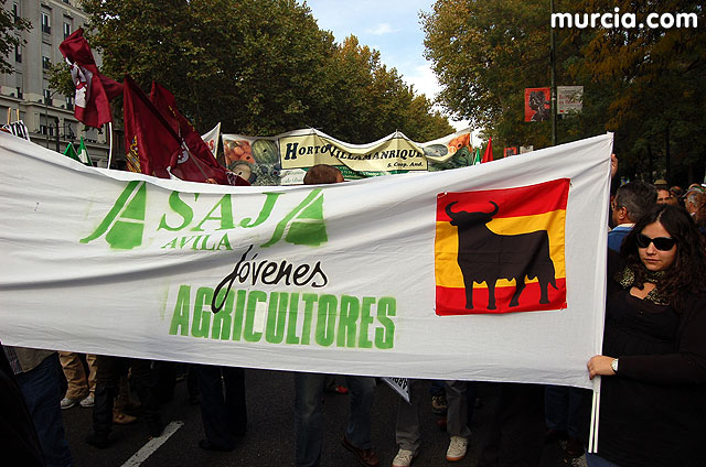 Manifestacin de agricultores en Madrid - 141