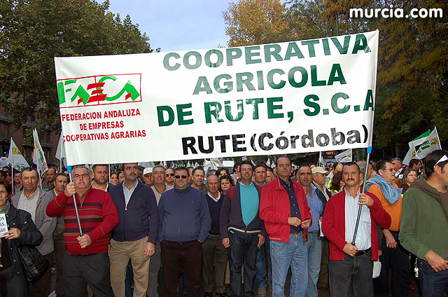 Manifestacin de agricultores en Madrid - 145