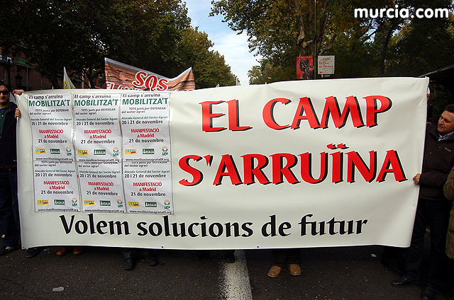Manifestacin de agricultores en Madrid - 156