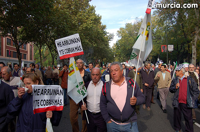 Manifestacin de agricultores en Madrid - 162