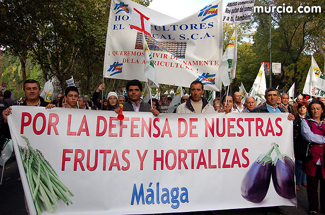Manifestacin de agricultores en Madrid - 175