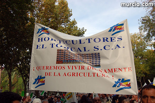 Manifestacin de agricultores en Madrid - 176