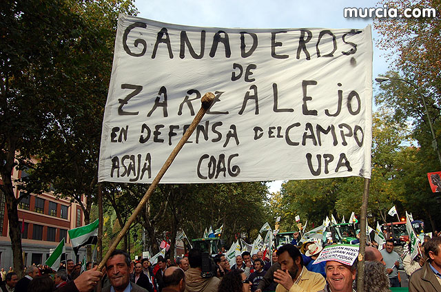 Manifestacin de agricultores en Madrid - 177