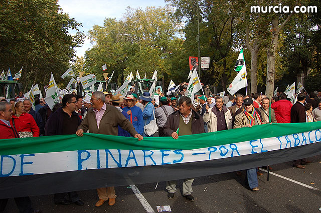 Manifestacin de agricultores en Madrid - 178