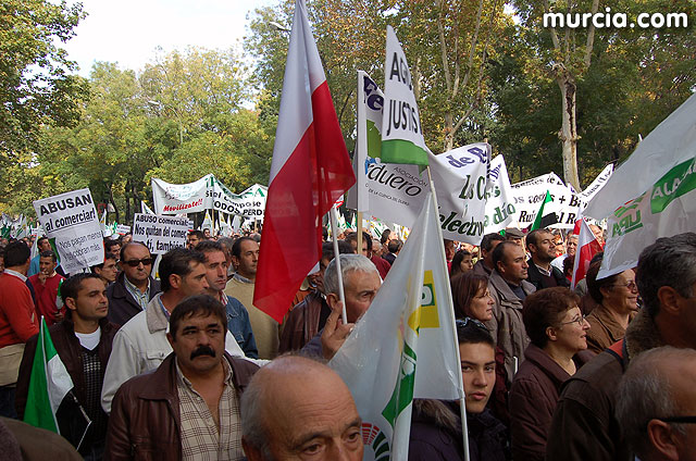 Manifestacin de agricultores en Madrid - 186