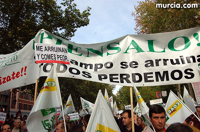 Manifestacin de agricultores en Madrid - 194