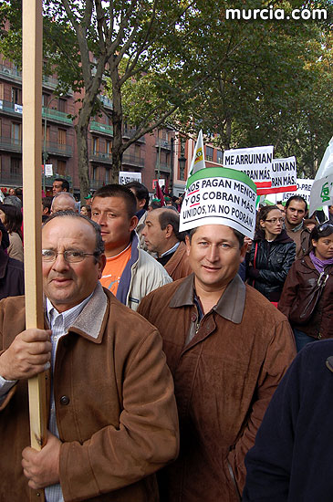 Manifestacin de agricultores en Madrid - 195