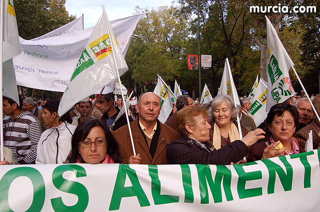 Manifestacin de agricultores en Madrid - 200