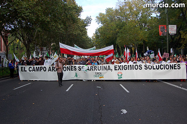 Manifestacin de agricultores en Madrid - 204