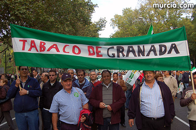 Manifestacin de agricultores en Madrid - 211
