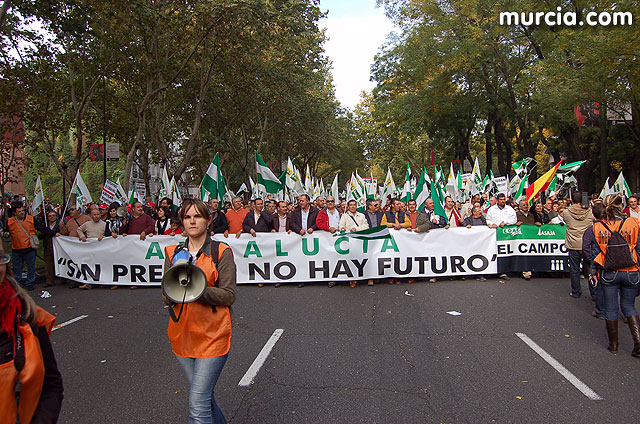 Manifestacin de agricultores en Madrid - 214