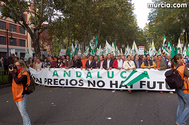 Manifestacin de agricultores en Madrid - 215
