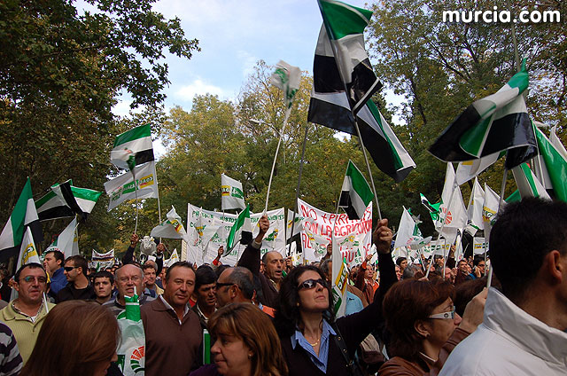 Manifestacin de agricultores en Madrid - 224