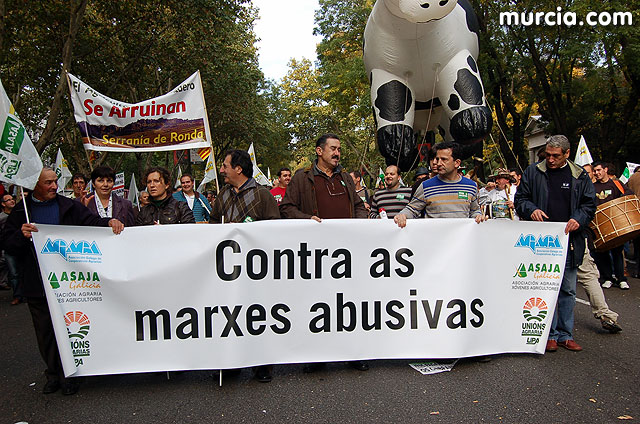 Manifestacin de agricultores en Madrid - 230