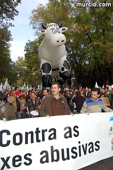 Manifestacin de agricultores en Madrid - 231
